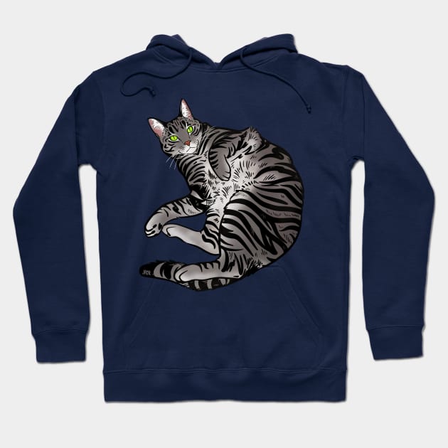 Silver tabby Hoodie by jastinamor